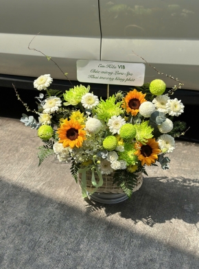 Giỏ hoa Hướng dương mĩ