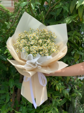 Bó Hoa Cúc Tana Dễ Thương