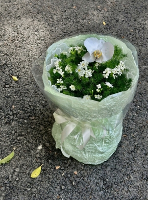 Bó Hoa Tươi Mát Nhẹ Nhàng Đáng Yêu