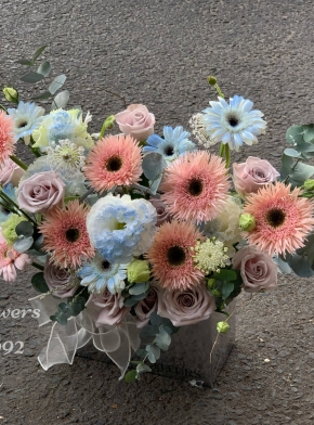 Giỏ Hoa Cát Tường Mix Đồng Tiền Tua Tone Pastel Cute