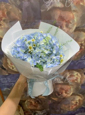 Cẩm Tú Cầu Mix Tana Đáng Yêu